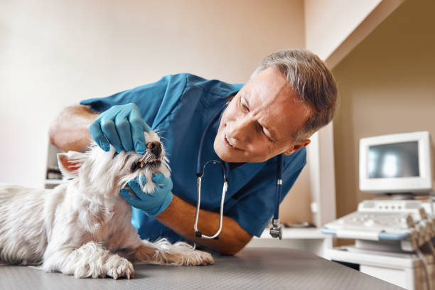 Best Emergency Tooth Extraction in Lakesite, TN
